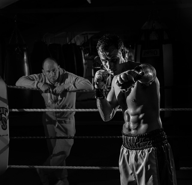 Betting on MMA